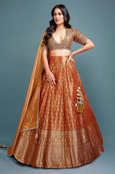 Rust Orange Tissue Zari Weaving V Neckline Lehenga